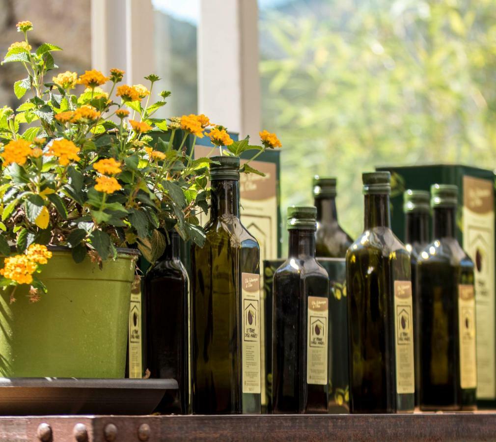 Agriturismo Terre Degli Angeli Pietra Ligure Dış mekan fotoğraf
